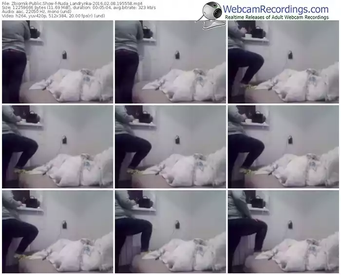 zbiornik-ruda_landrynka-webcam-show-02_08_2016-19_55_58