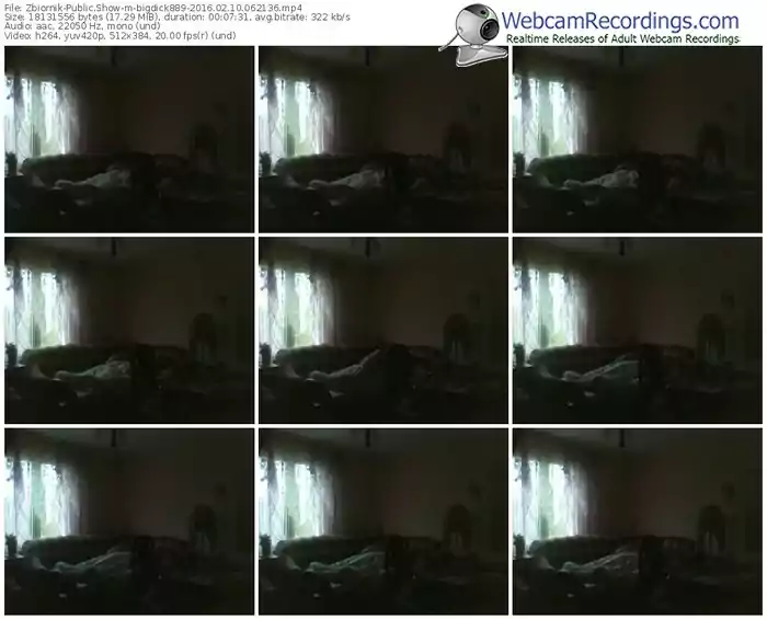 zbiornik-bigdick889-webcam-show-02_10_2016-06_21_36