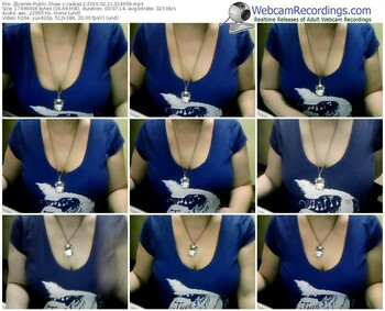 zbiornik-caska12-webcam-show-02_11_2016-01_46_59