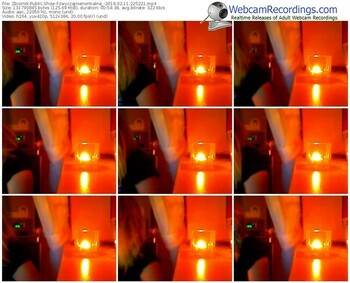 zbiornik-zwyczajnienormalna_-webcam-show-02_11_2016-22_52_21
