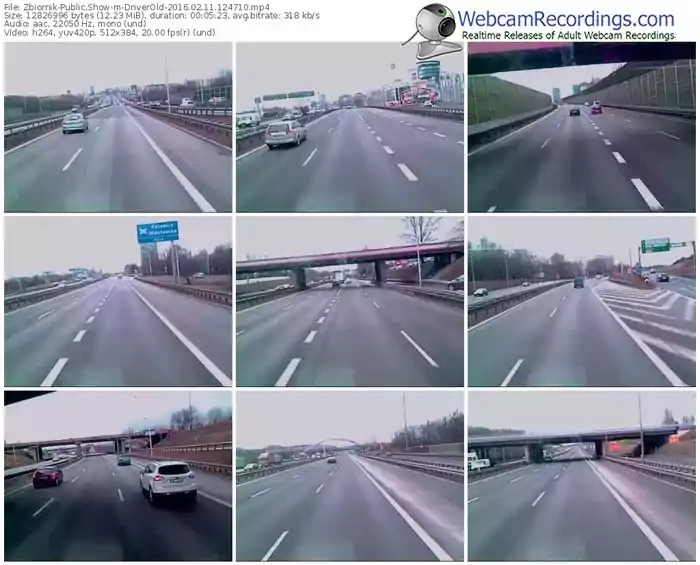 zbiornik-driverold-webcam-show-02_11_2016-12_47_10