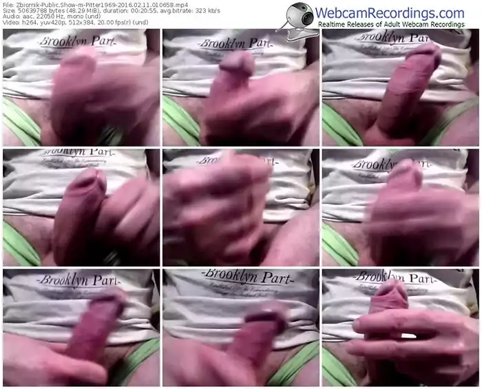 zbiornik-pitter1969-webcam-show-02_11_2016-01_06_58