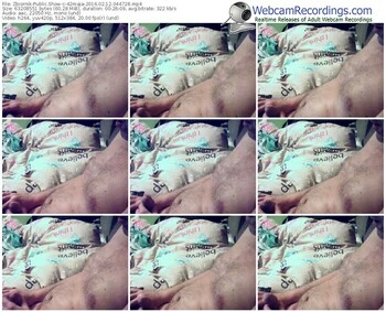 zbiornik-42maja-webcam-show-02_12_2016-04_47_28