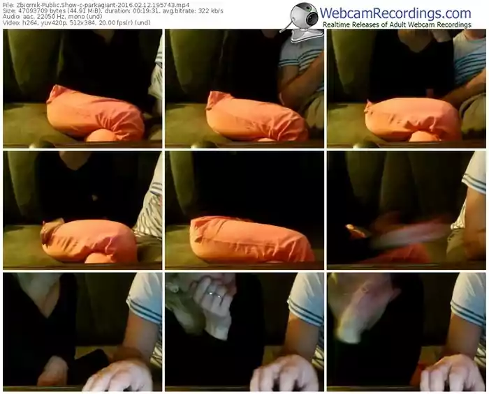 zbiornik-parkagiant-webcam-show-02_12_2016-19_57_43