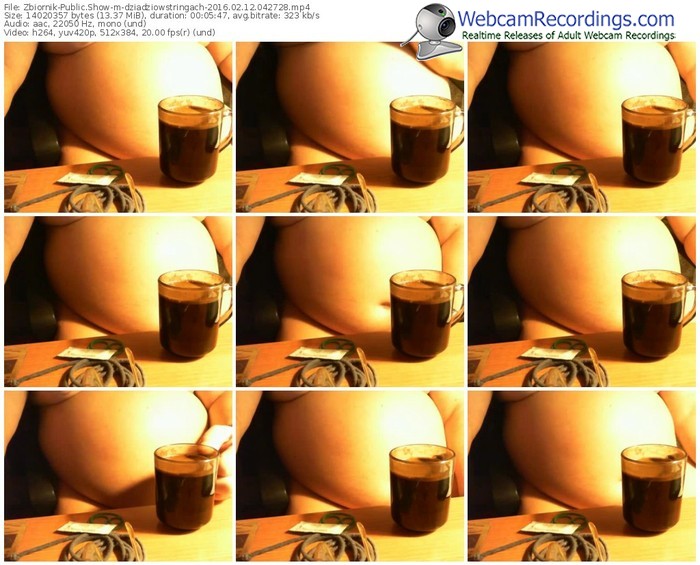 zbiornik-dziadziowstringach-webcam-show-02_12_2016-04_27_28