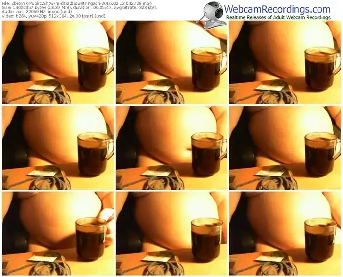 zbiornik-dziadziowstringach-webcam-show-02_12_2016-04_27_28