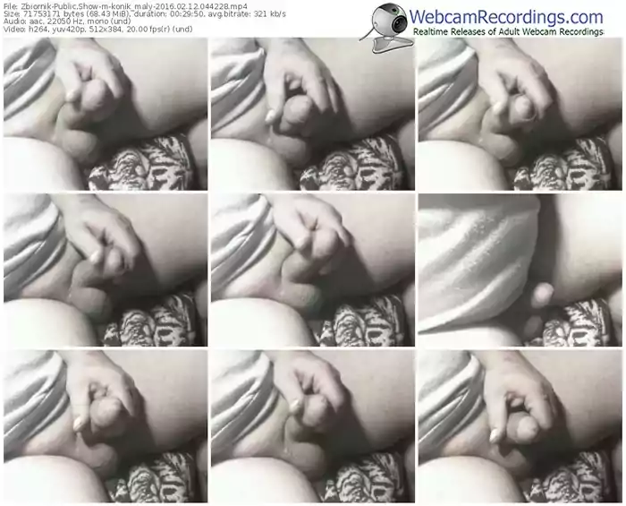 zbiornik-konik_maly-webcam-show-02_12_2016-04_42_28