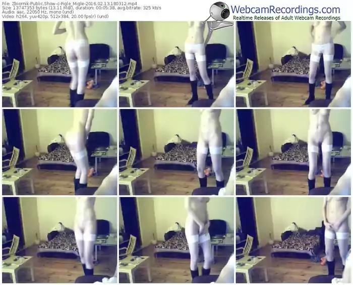 zbiornik-figle_migle-webcam-show-02_13_2016-18_03_12