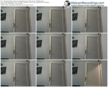 zbiornik-suzanrosman-webcam-show-02_13_2016-15_08_05
