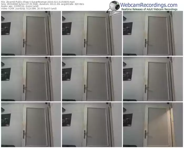 zbiornik-suzanrosman-webcam-show-02_13_2016-15_08_05