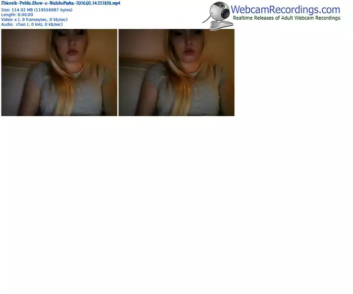 zbiornik-bielskoparka-webcam-show-02_14_2016-22_18_38