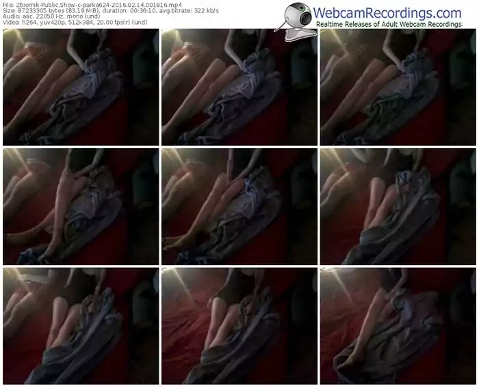 zbiornik-parka624-webcam-show-02_14_2016-00_18_16