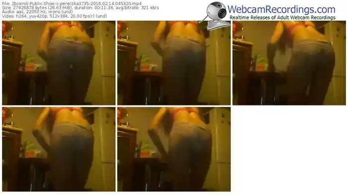 zbiornik-pereczka3735-webcam-show-02_14_2016-04_53_20