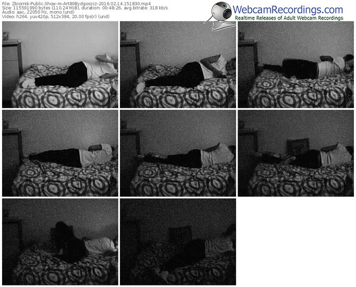 zbiornik-art89bydgoszcz-webcam-show-02_14_2016-15_18_30