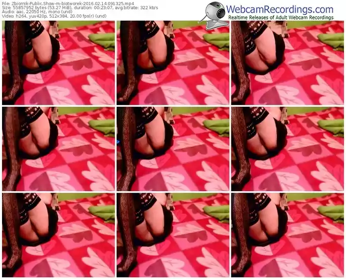 zbiornik-biotworek-webcam-show-02_14_2016-09_13_25