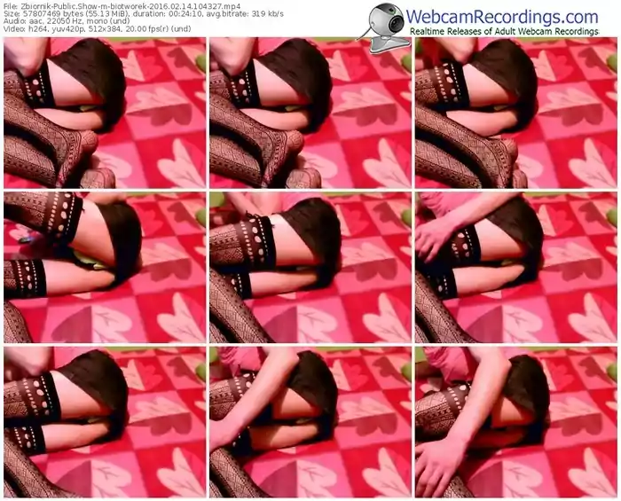 zbiornik-biotworek-webcam-show-02_14_2016-10_43_27