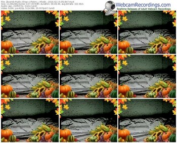 zbiornik-piekni_i_mlodzi_-webcam-show-02_15_2016-05_18_47