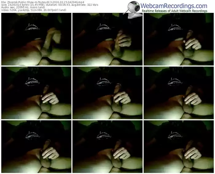 zbiornik-toyboy913-webcam-show-02_15_2016-04_23_46
