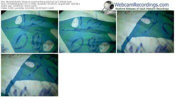 zbiornik-acernurnberg-webcam-show-02_16_2016-13_39_24