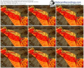 zbiornik-parasesimyy-webcam-show-03_22_2016-22_03_33