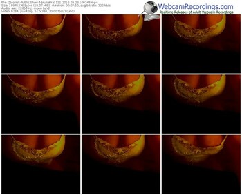 zbiornik-brunetka1111-webcam-show-03_23_2016-10_03_48