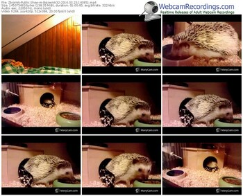 zbiornik-bojownik32-webcam-show-03_23_2016-14_08_51