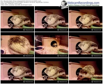 zbiornik-bojownik32-webcam-show-03_23_2016-15_08_51