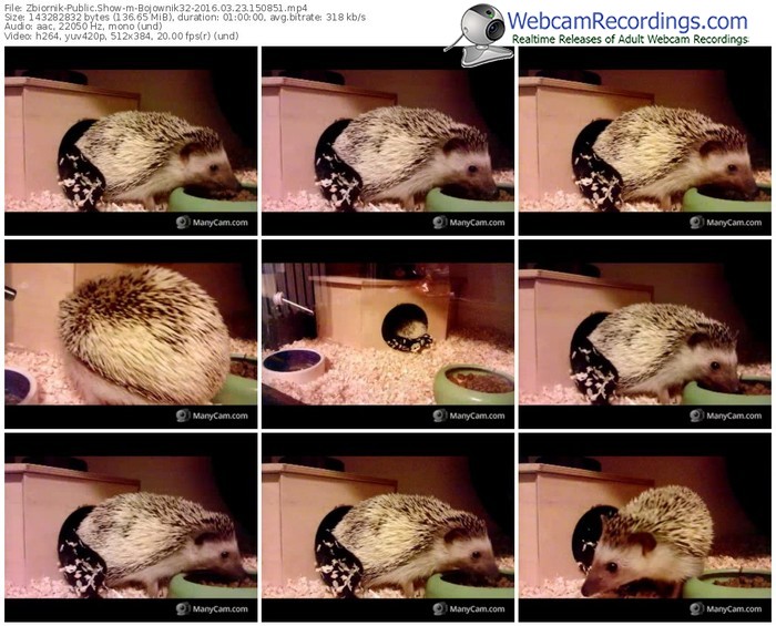 zbiornik-bojownik32-webcam-show-03_23_2016-15_08_51