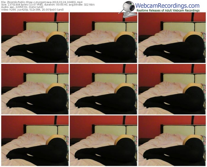 zbiornik-myzgorzowa-webcam-show-03_24_2016-16_48_31