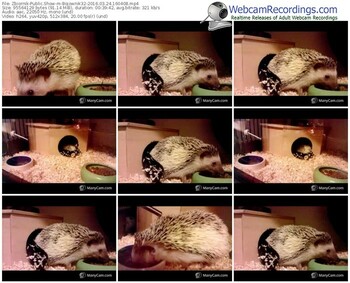 zbiornik-bojownik32-webcam-show-03_24_2016-16_04_08