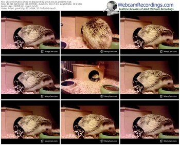 zbiornik-bojownik32-webcam-show-03_24_2016-20_29_09