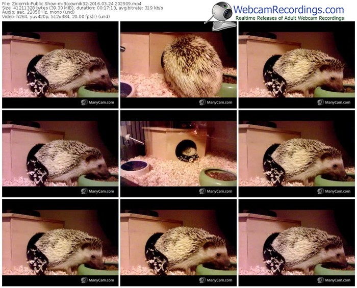 zbiornik-bojownik32-webcam-show-03_24_2016-20_29_09