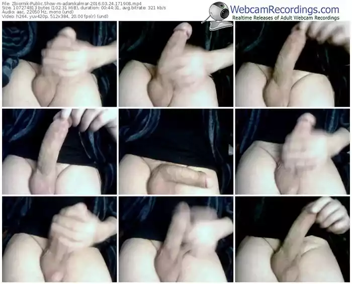 zbiornik-adamkalmar-webcam-show-03_24_2016-17_19_08