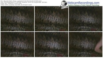 zbiornik-parka212134-webcam-show-03_26_2016-02_34_05