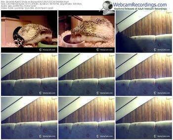 zbiornik-bojownik32-webcam-show-03_26_2016-16_44_24