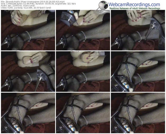 zbiornik-transagnes-webcam-show-03_26_2016-09_14_23