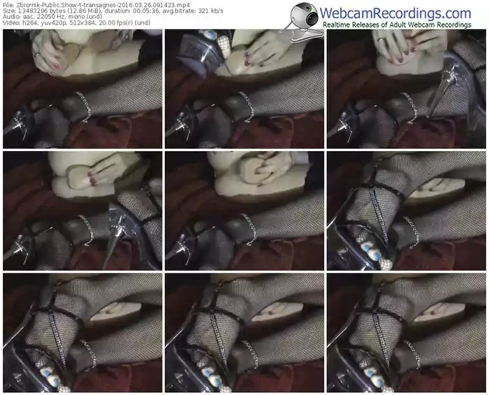 zbiornik-transagnes-webcam-show-03_26_2016-09_14_23