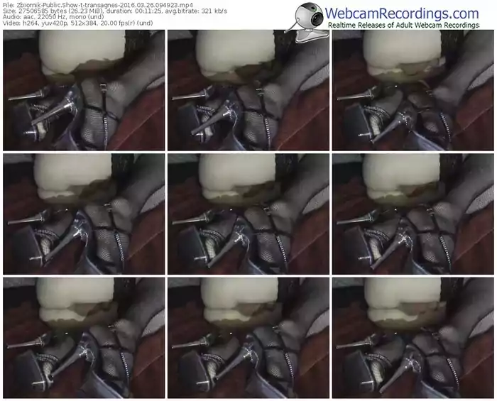 zbiornik-transagnes-webcam-show-03_26_2016-09_49_23