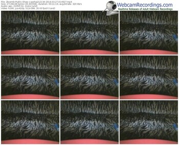 zbiornik-parka212134-webcam-show-03_27_2016-01_49_27