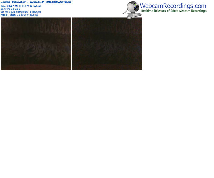 zbiornik-parka212134-webcam-show-03_27_2016-02_24_25