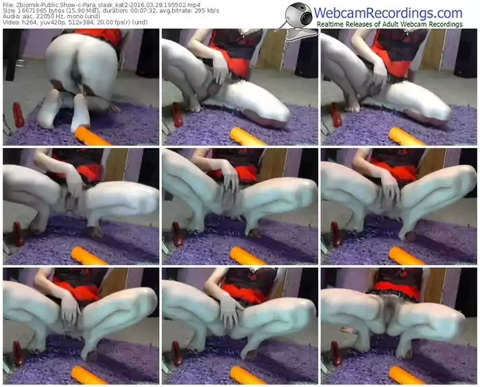 zbiornik-para_slask_kat2-webcam-show-03_28_2016-19_55_02