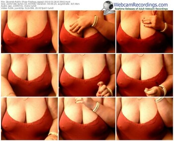 zbiornik-babaa_jagaa2-webcam-show-03_28_2016-01_39_42