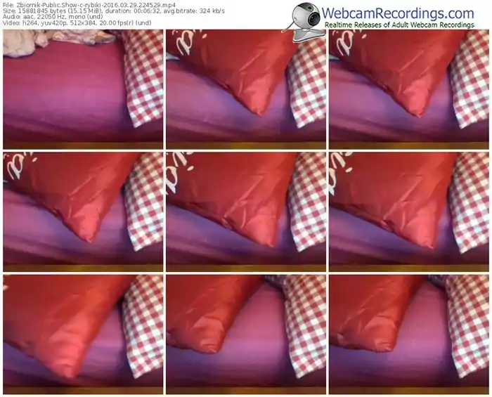 zbiornik-rybiki-webcam-show-03_29_2016-22_45_29