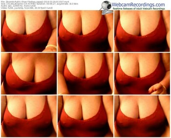 zbiornik-babaa_jagaa2-webcam-show-03_29_2016-01_15_07
