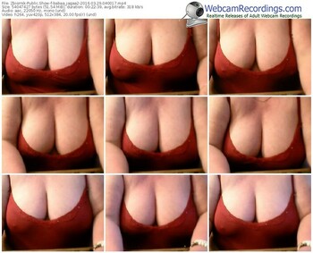 zbiornik-babaa_jagaa2-webcam-show-03_29_2016-04_00_17