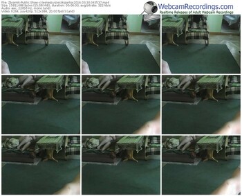 zbiornik-lesneszyszeczkiparka-webcam-show-03_30_2016-04_35_37