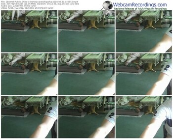 zbiornik-lesneszyszeczkiparka-webcam-show-03_30_2016-04_55_42