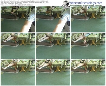 zbiornik-lesneszyszeczkiparka-webcam-show-03_30_2016-06_25_39