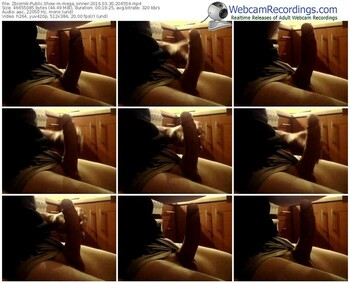 zbiornik-mega_sinner-webcam-show-03_30_2016-20_45_54