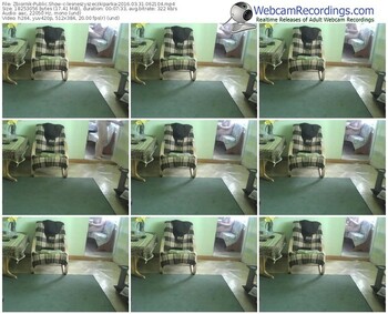 zbiornik-lesneszyszeczkiparka-webcam-show-03_31_2016-06_21_04
